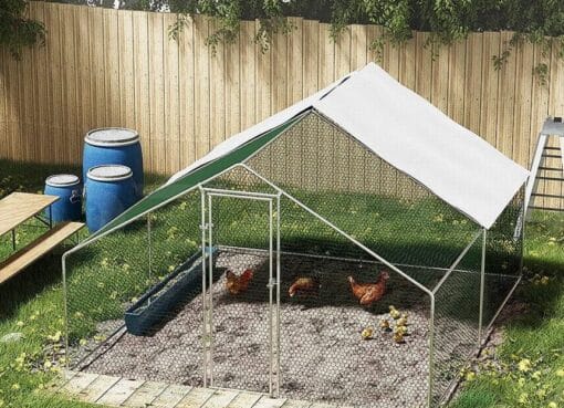 Top 10 Chicken Coop Accessories to Keep Your Flock Happy and Healthy